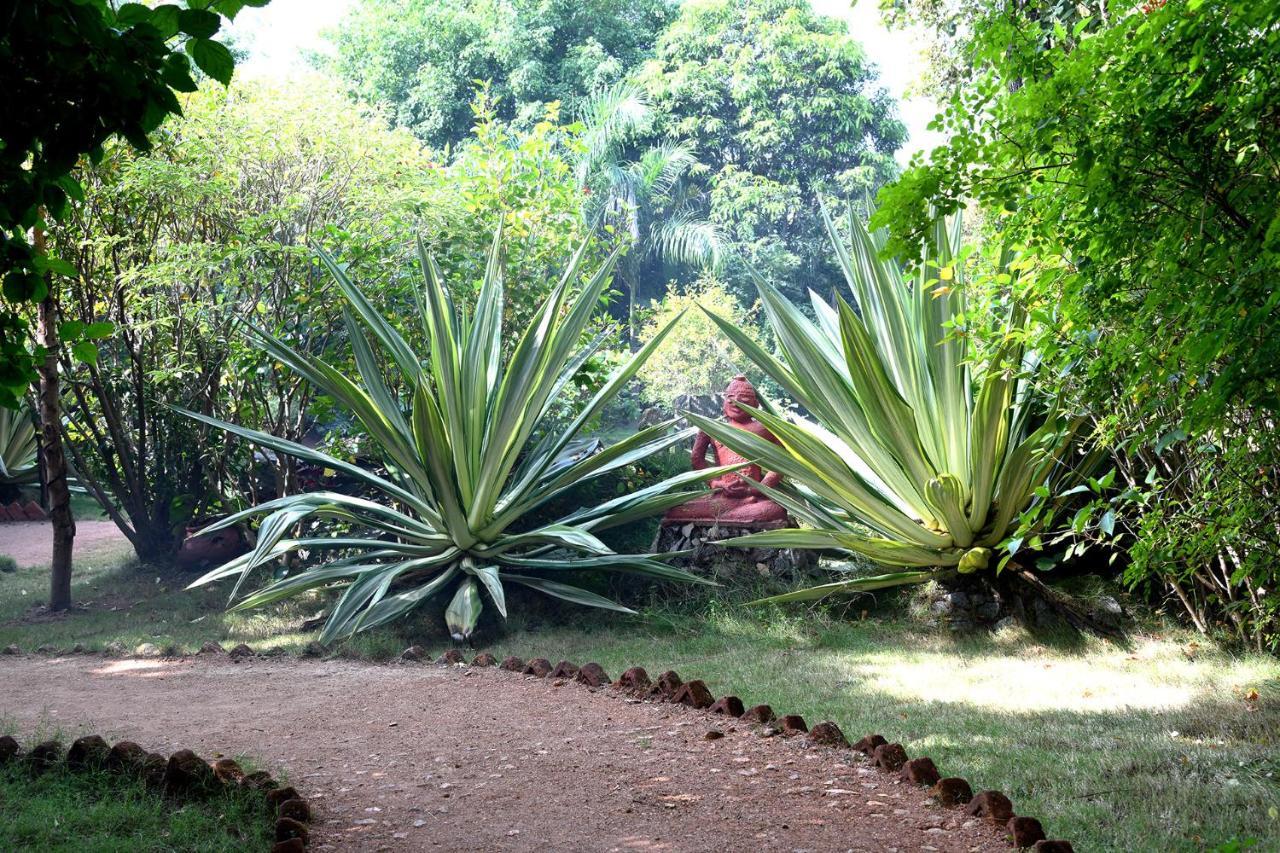 Baaz Jungle Resort Khawāsa Exteriör bild