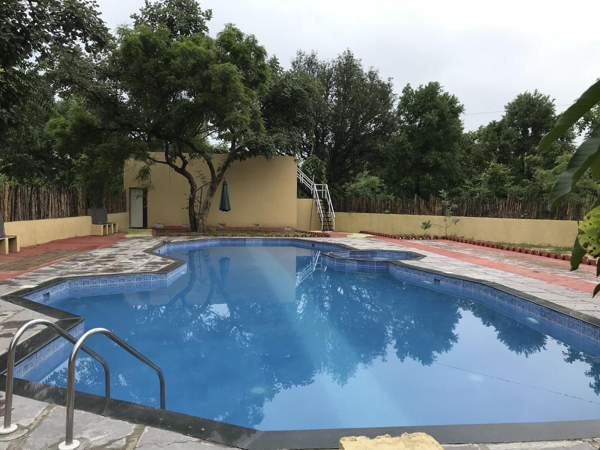Baaz Jungle Resort Khawāsa Exteriör bild