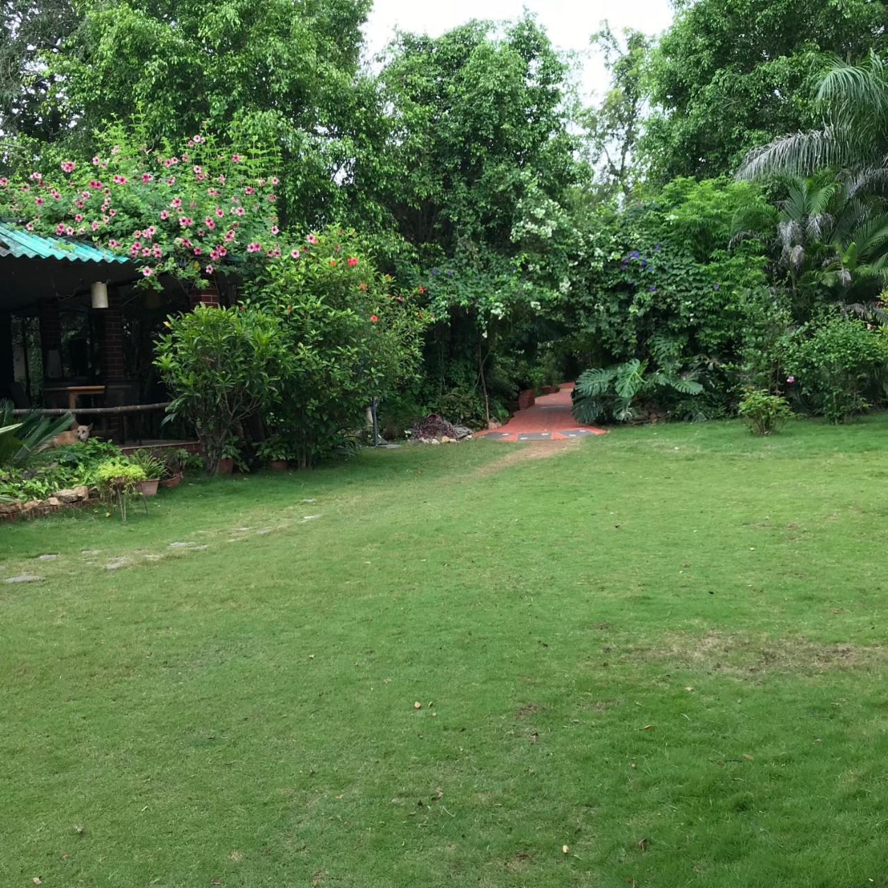 Baaz Jungle Resort Khawāsa Exteriör bild