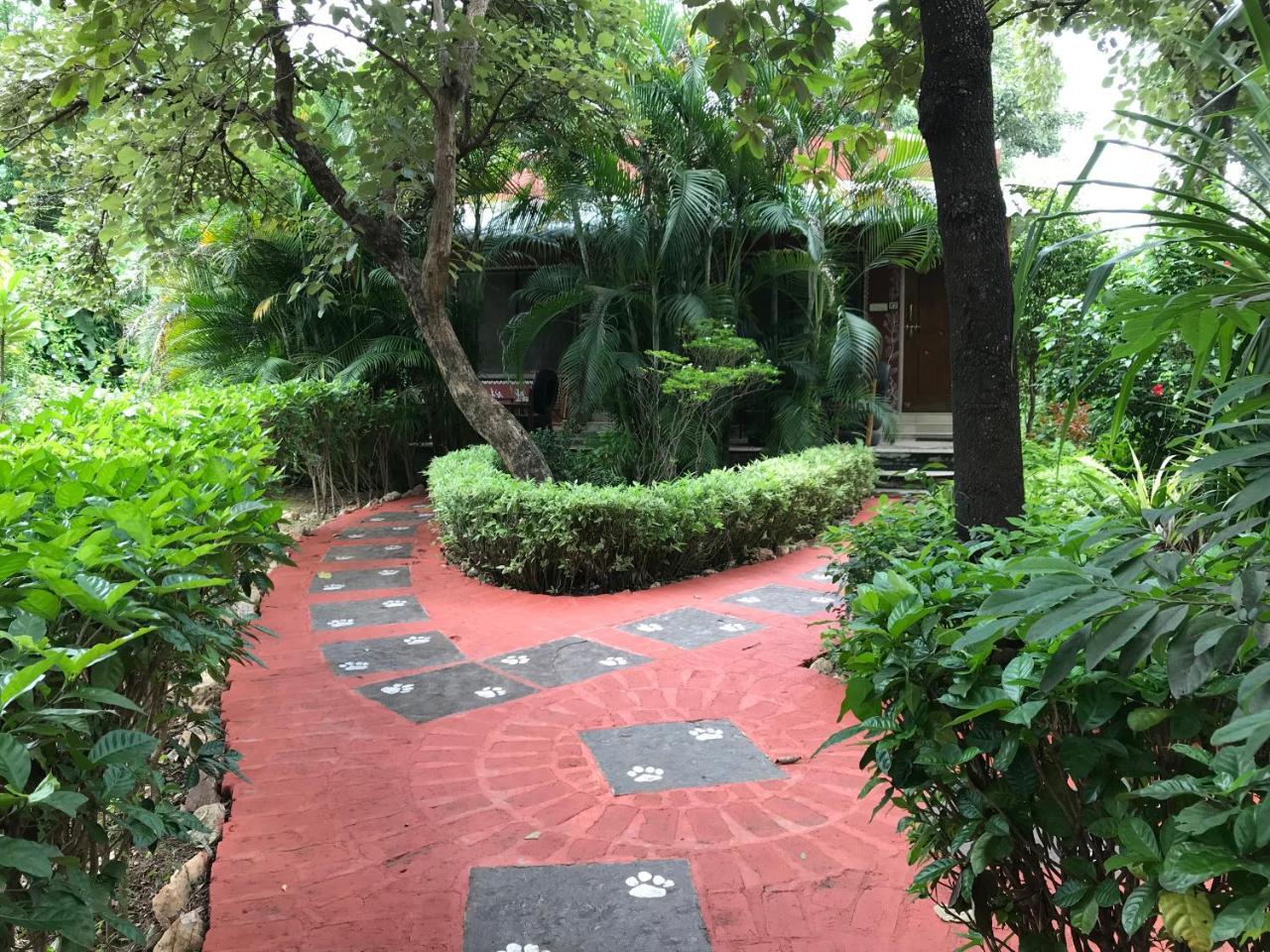 Baaz Jungle Resort Khawāsa Exteriör bild