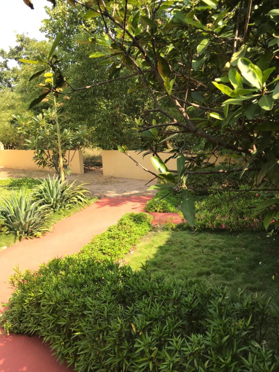 Baaz Jungle Resort Khawāsa Exteriör bild